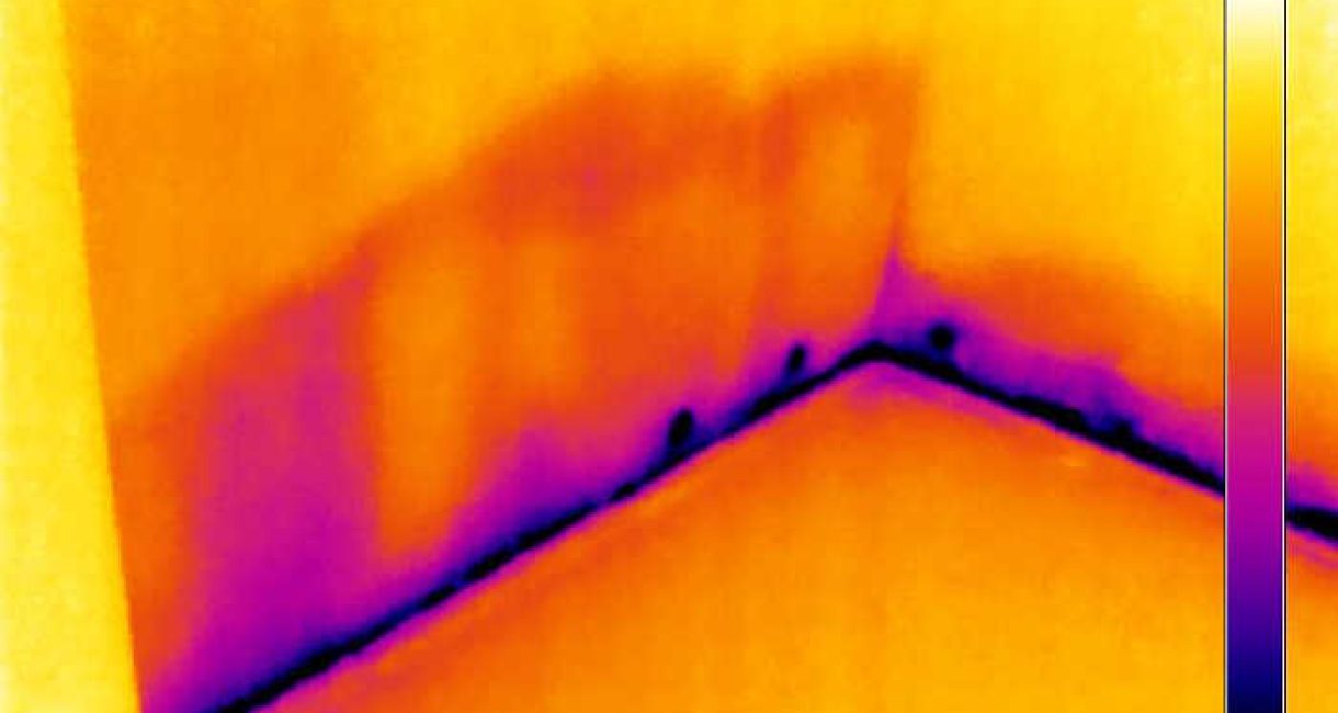 thermal-imaging-detect-mold